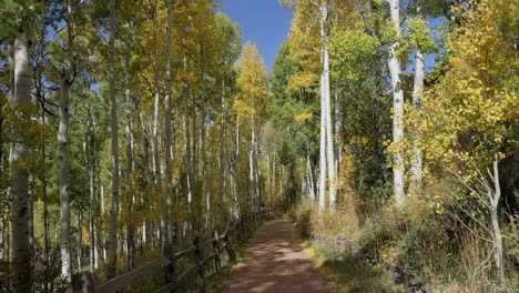 Yellow-and-Green-Walking-Trail-in-Telluride,-Colorado,-Slow-Motion