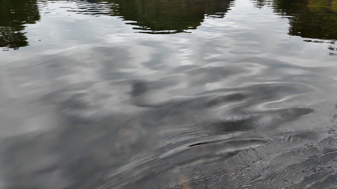 отражения на спокойной реке