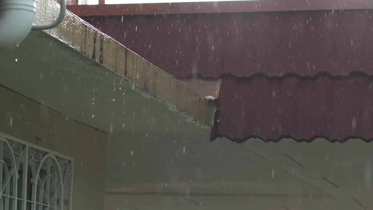 4K footage of Tropical rain drops falling.
