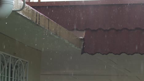 imágenes en 4k de gotas de lluvia tropical cayendo.