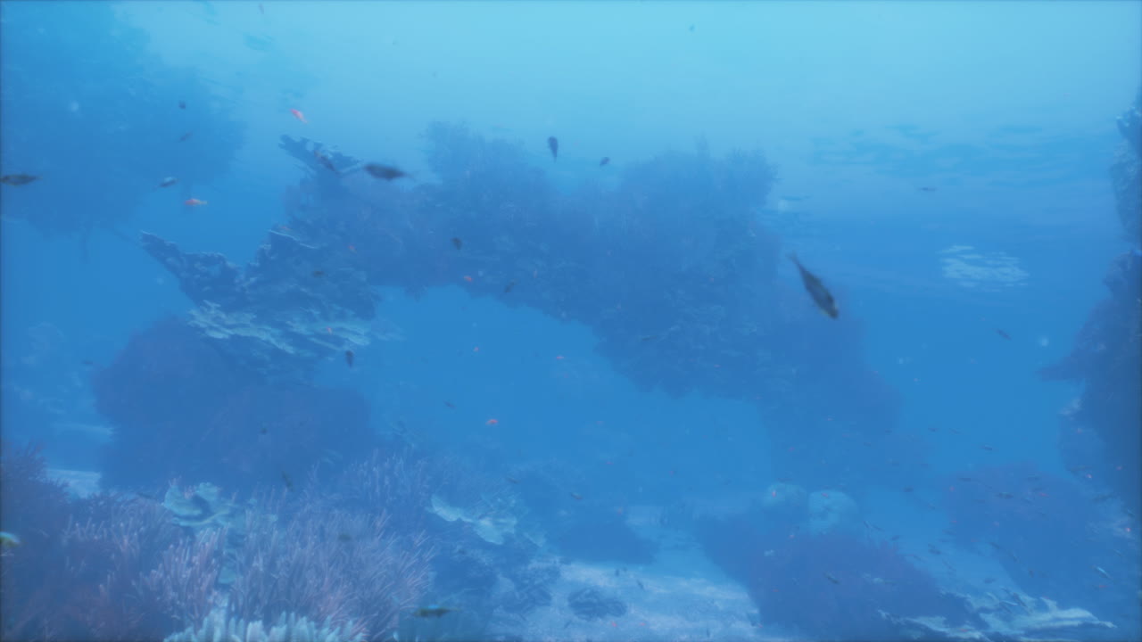 hermosa escena de arrecife de coral submarino