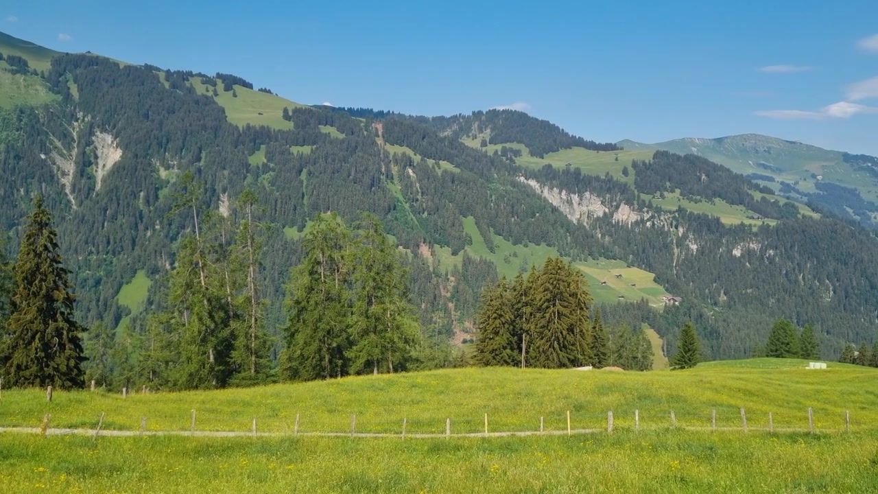 Panoramautsikt over de sveitsiske Alpene nær Lenk på en solrik sommerdag, med levende alpeenger, majestetisk fjellandskap og krystallklar himmel. Et fredelig turmål i naturskjønne omgivelser