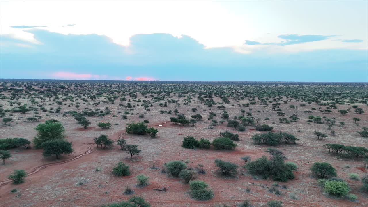 vista aérea, el dron se mueve hacia atrás revelando el paisaje del sur de kalahari