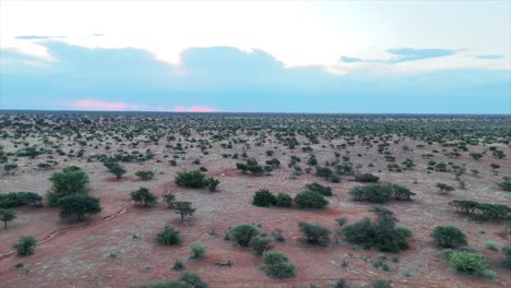 Vista-Aérea,-El-Dron-Se-Mueve-Hacia-Atrás-Revelando-El-Paisaje-Del-Sur-Del-Kalahari