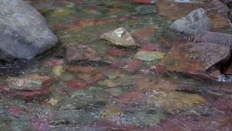 rocas multicolores en el arroyo de virginia en el parque nacional de los glaciares, de mano