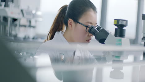 smart female biologist or scientist wearing a lab coat, looking into the microscope, analyzes petri dish sample. specialists working on medicine, biotechnology research in advanced pharma lab