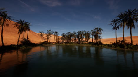 oasis in the desert