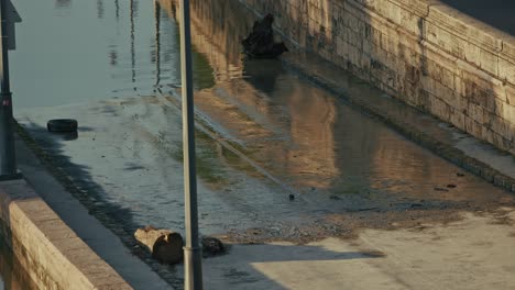 flood debris left on a drying riverside path with reflections of buildings, budapest, hungary