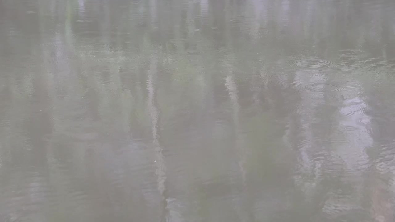 Evolving patterns of light and color on water
