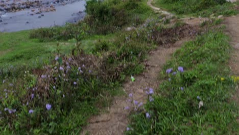 Puente-Colgante-De-Hierro-Aislado-Sobre-El-Río-Que-Fluye-Con-Fondo-De-Montaña-Y-Cielo-Azul-En-El-Video-De-La-Mañana-Se-Toma-En-Nongjrong-Meghalaya-India