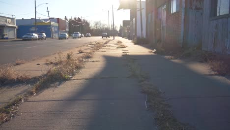 slow motion walking gimbal shot of a overgrown curb on the east side of detroit with sun flaring on lens