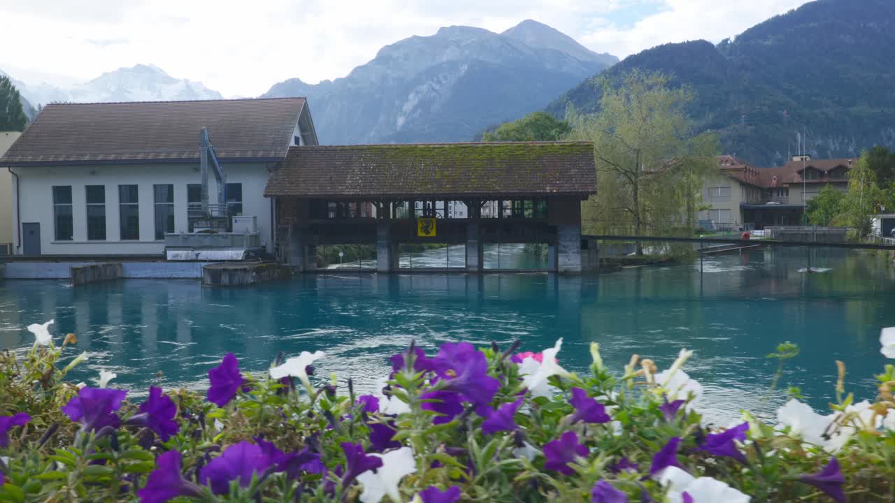 interlaken immersive pov: 스위스, 유럽의 이른 아침 도시의 거리를  ⁇ 고,  ⁇ 고, 유명한 전망을 가진 상징적인 다리에서 매우 가까운 꽃을 지나갑니다.