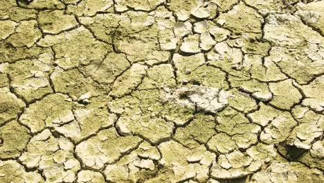 Profile-view-of-cracks-on-ground-due-to-drought-or-climate-change