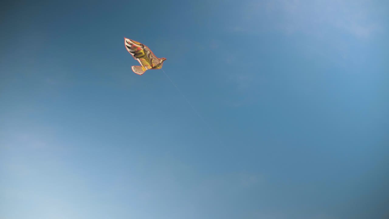 아프리카 하늘 높이 날아가는 연의 슬로우 모션 샷
