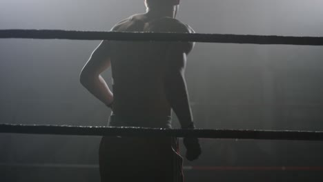 boxer in the ring