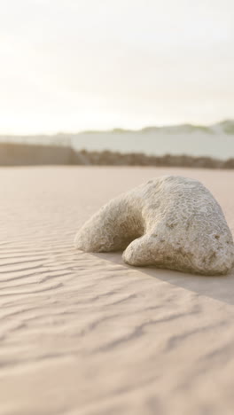 serene beach scene with a coral rock