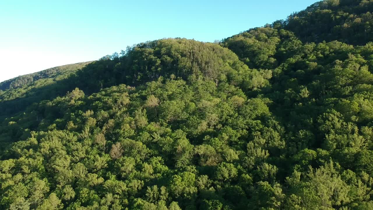 산 쪽의 내림차순 산 샷
