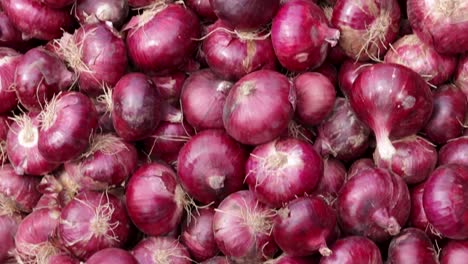 fresh-organic-onion-from-farm-close-up-from-different-angle