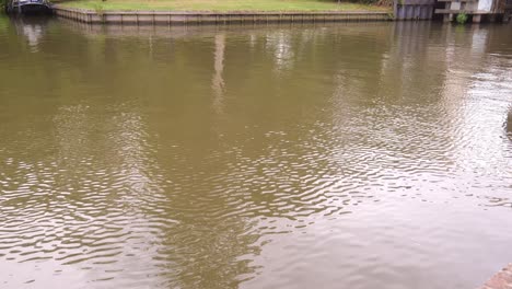 River-Schelda-in-Belgium