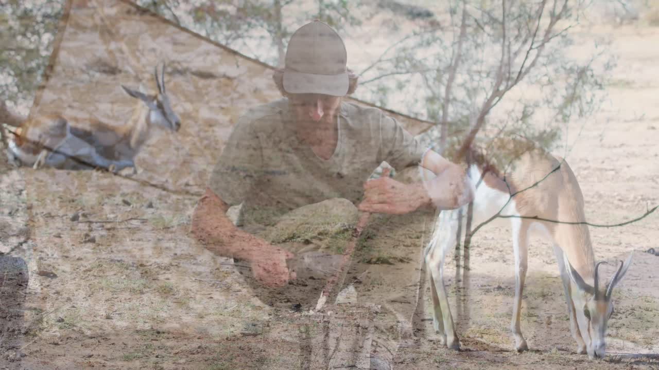 사바나에서 안로페를 넘어서 백인 남자의 애니메이션