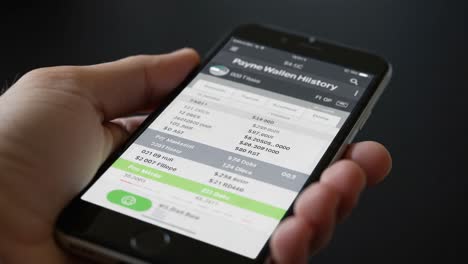 detailed financial tracking and history management displayed on a smartphone screen, showcasing transaction records with valuable insights and data overview