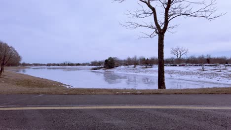 single tree stands alone on the edge of a frozen lake on a cold morning, no persons