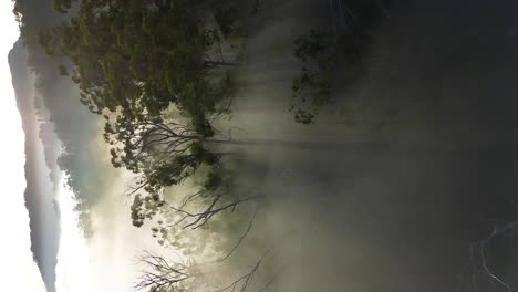 vista aérea de un avión no tripulado de un paisaje de bosque místico con rayos de sol brillando a través de la niebla matutina