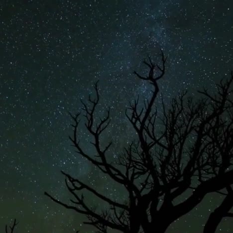 Una-Hermosa-Atardecer-De-Lapso-De-Tiempo-Sobre-Una-Escena-Nocturna-Del-Desierto