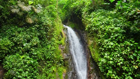 medium slow-motion shot, scenic view of the la fortuna waterfalls in the middle of the rain forest in costa rica