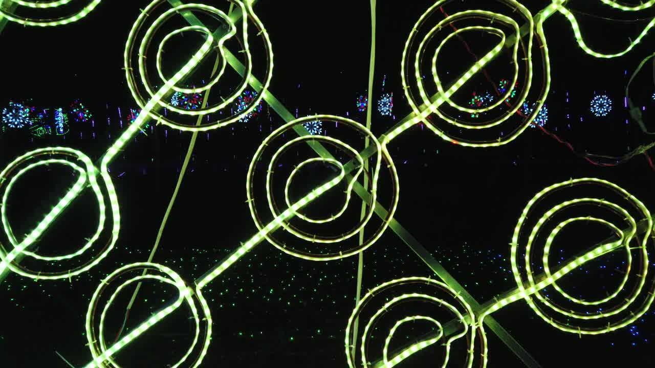 LED Lighting Festival In the Park, Close Up Peacock Feather - Red