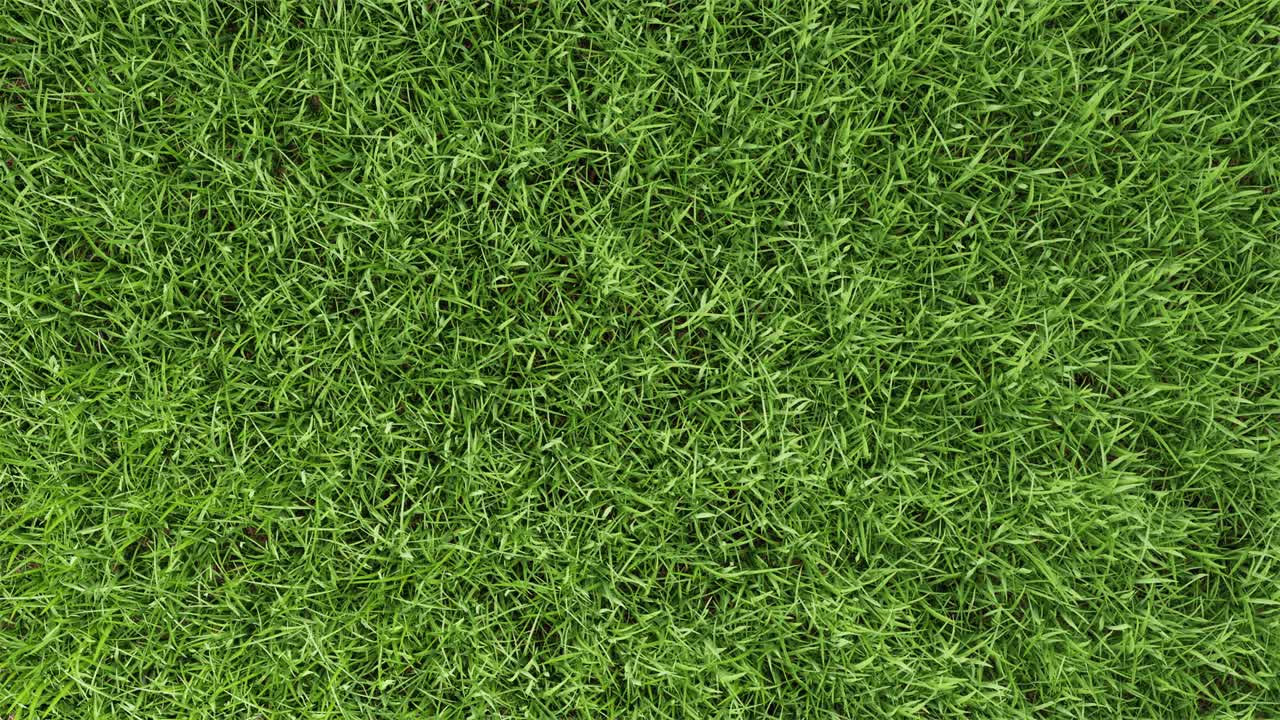 vista aérea de bucle sin costuras de un hermoso patio de hierba verde con fondo de ángulo de cámara en movimiento de rotación. concepto de medio ambiente y ecología. escena de la naturaleza exterior. video de imágenes gráficas de movimiento 4k.