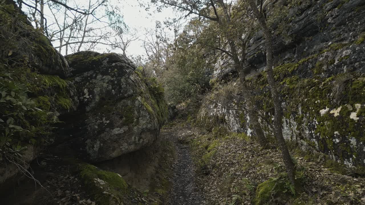 Mossy rocks and trees create a captivating natural passage along a hiking path in a catalonia forest, providing a serene and picturesque journey for hikers
