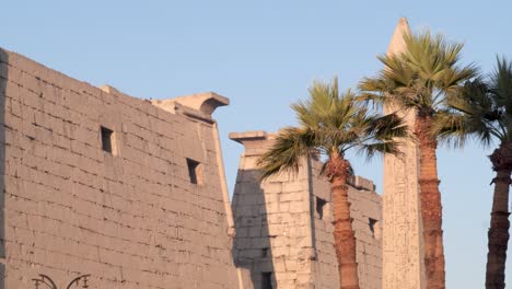 view of the walls and palm trees at the entrance to the ancient luxor temple, egypt