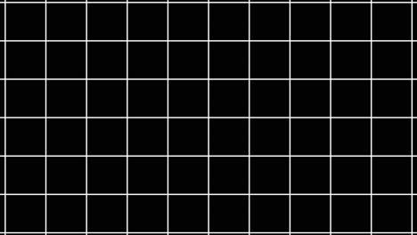 black and white grid pattern