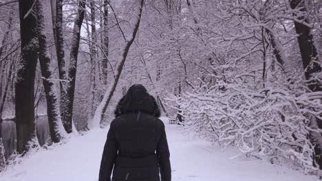 Warm-Gekleidete-Weibliche-Rückansicht,-Die-Auf-Einem-Verschneiten-Weg-Spazieren-Geht-Niebieskie-Zrodla-Naturschutzgebiet-Wald