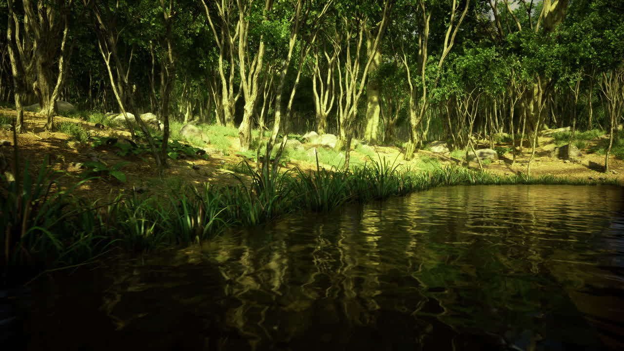 Serene forest landscape with reflective water under soft sunlight