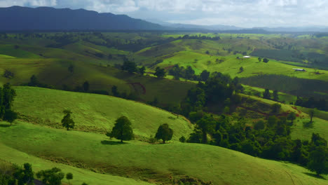 the rolling green hills of the atherton tablelands in australia - aerial drone shot