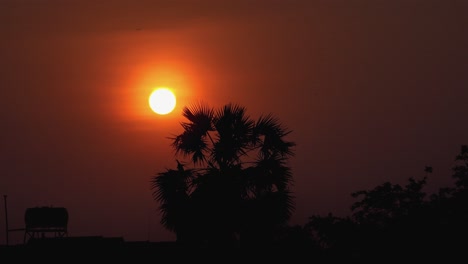 Weitwinkel-Standbild-Im-Zeitraffer-Einer-Orangefarbenen-Sonne,-Die-über-Der-Silhouette-Einer-Palme-Untergeht