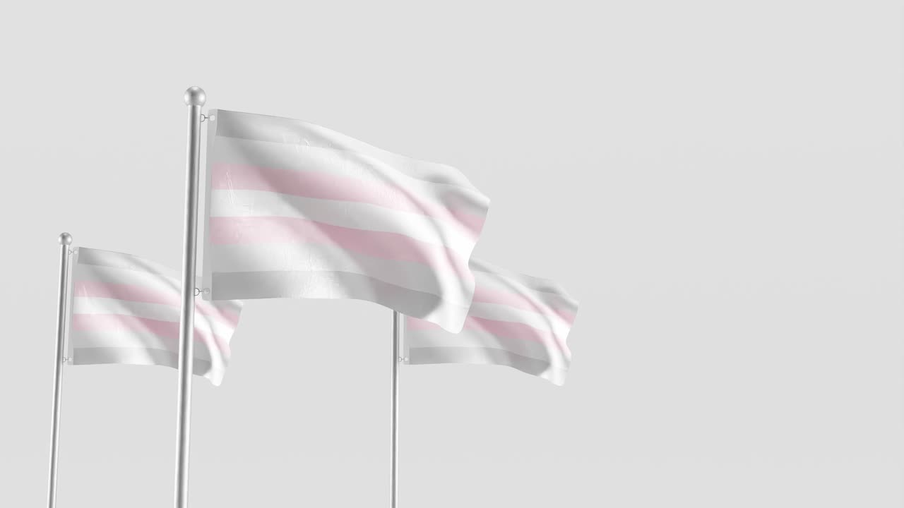 la bandera del orgullo de la demigirl en 3d sobre un fondo blanco