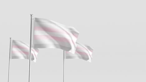 demigirl pride flag 3d render on white background