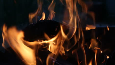 close up of big outdoor bonfire. close up shot of a fire and firewood burning in outdoor