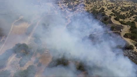 aerial - camera pulls back revealing charred ground from fire