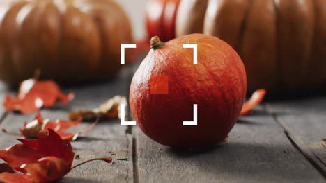 pumpkin on wooden surface with focus animation over autumn leaves