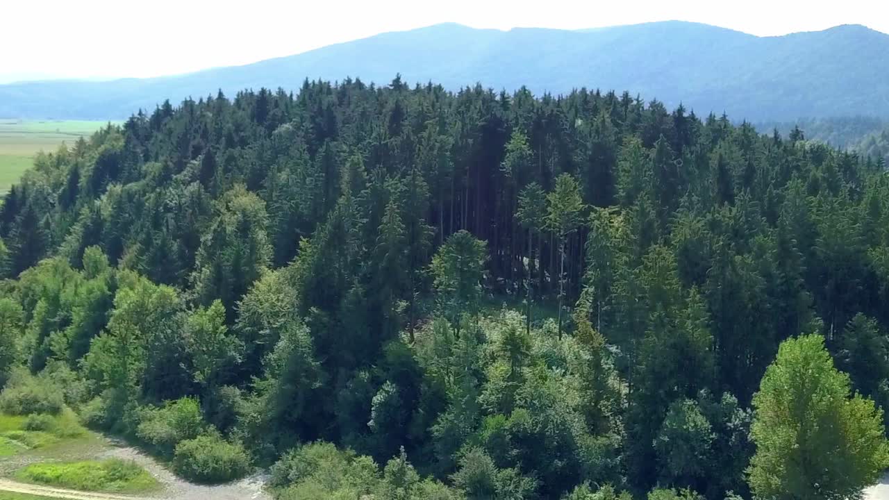 Aerial View Over Forest Outcrop With Pedestal Down To Nearby Lake