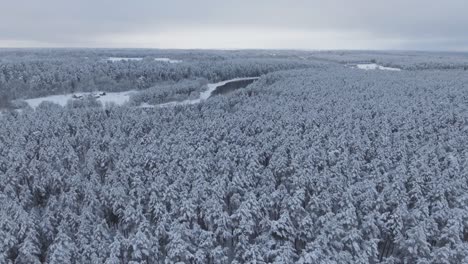 Der-Fluss-Neris-Schlängelt-Sich-Im-Winter-Durch-Den-Verschneiten-Wald-1