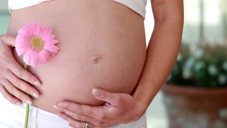 pregnant woman holding flower beside bump