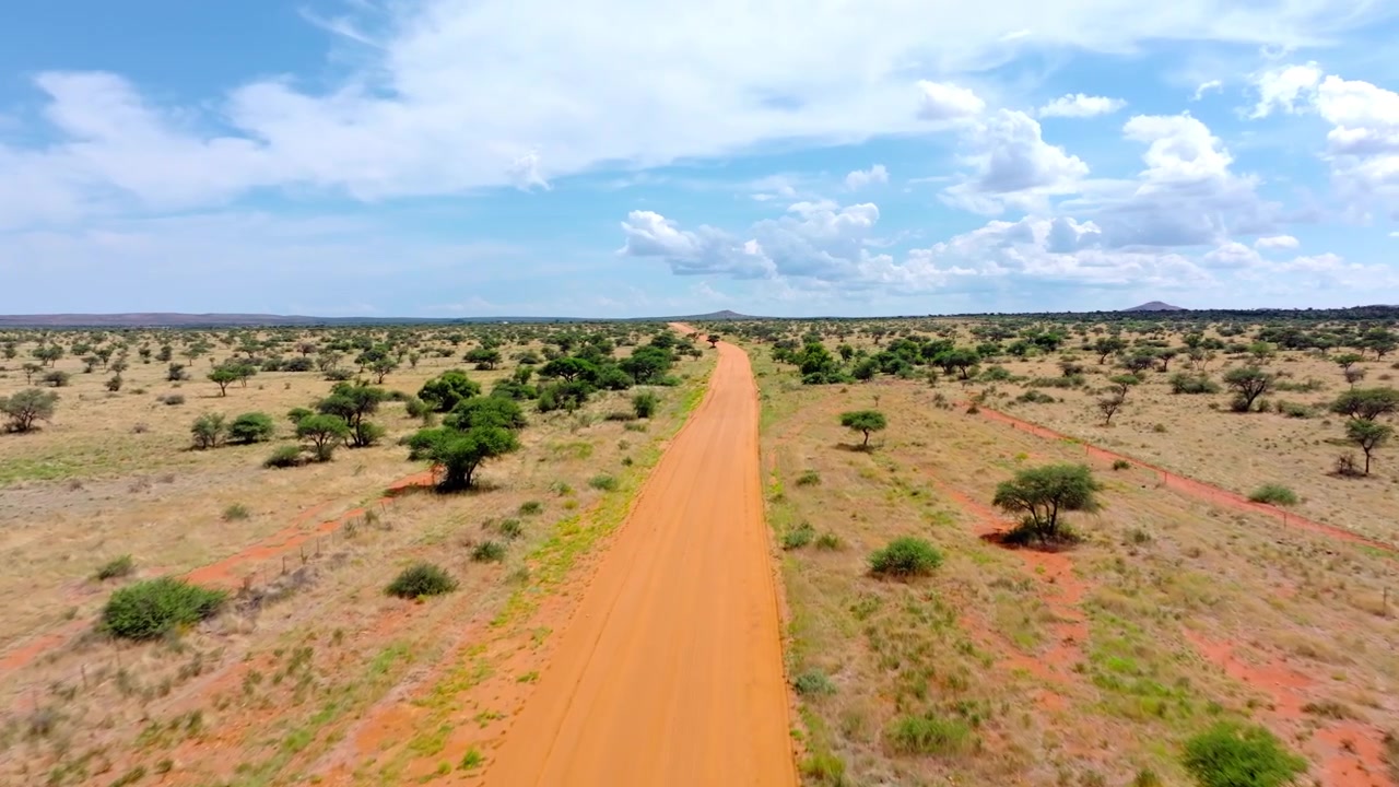 Vista aerea di una strada di sabbia rossa vuota che si estende verso l'orizzonte attraverso la prateria del Kalahari. La pista solitaria attraversa sabbia rossa infinita ed erba dorata punteggiata da robusti alberi di acacia.