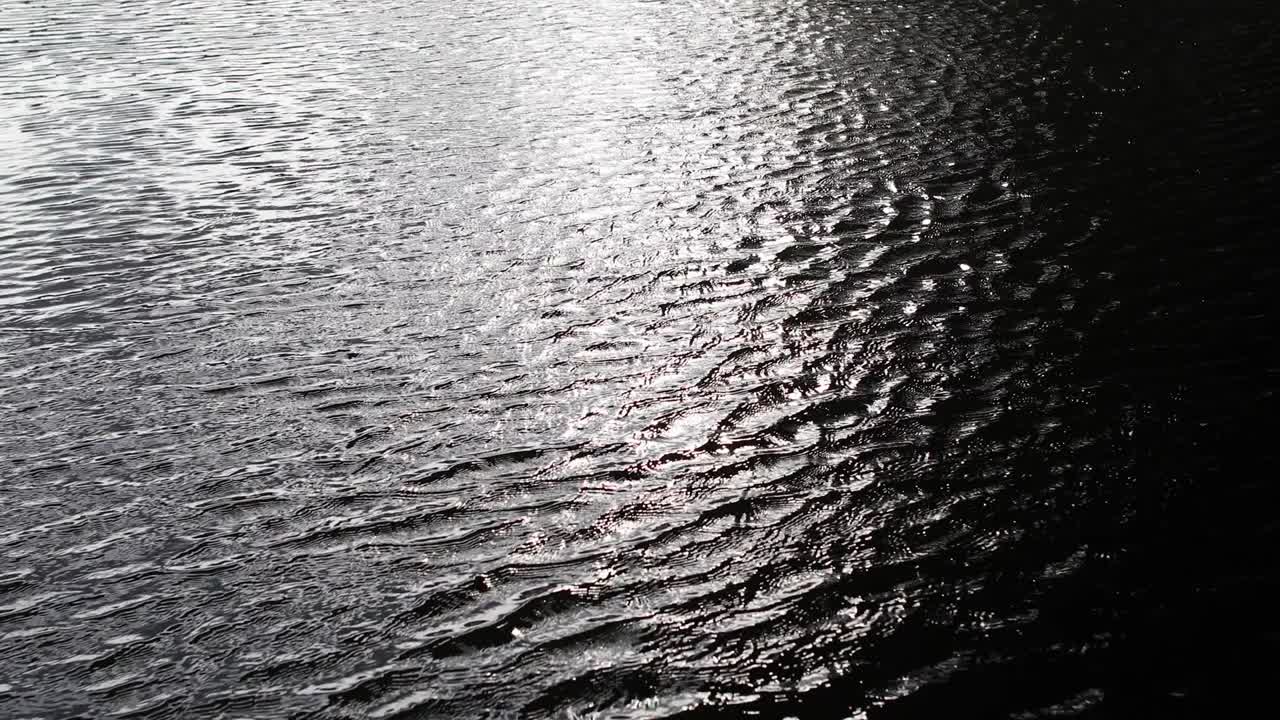 물 파동 알파 배경