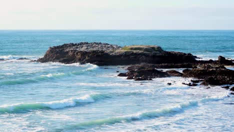 pescadero state beach and cliffs number twenty four