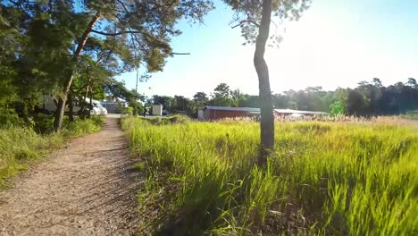 Slow-motion-flight-over-rural-path-between-green-fields-and-forest-trees-during-sunny-day-and-blue-sky